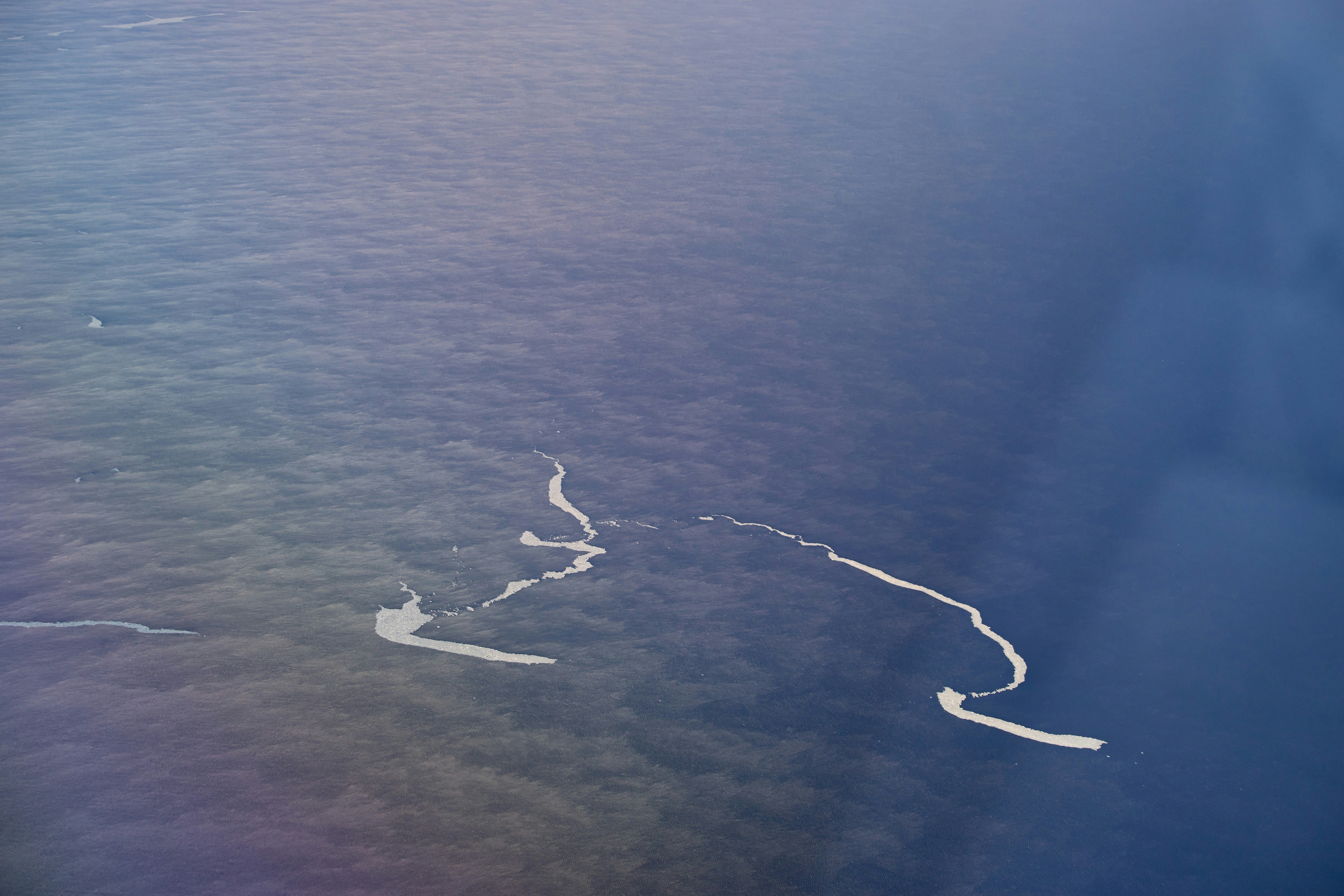 Photo by wolfgang_hasselmann