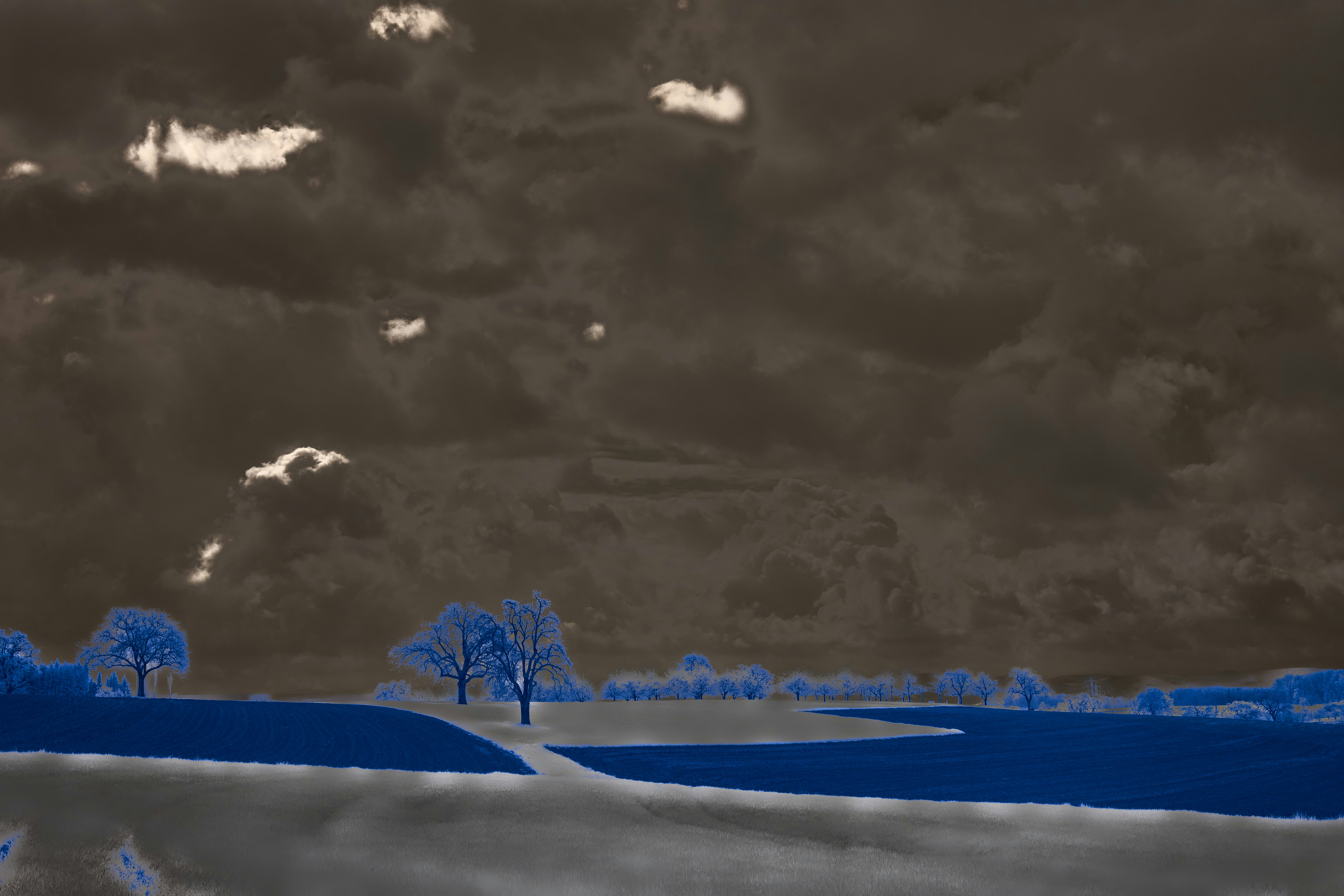 a black and white photo of trees and clouds