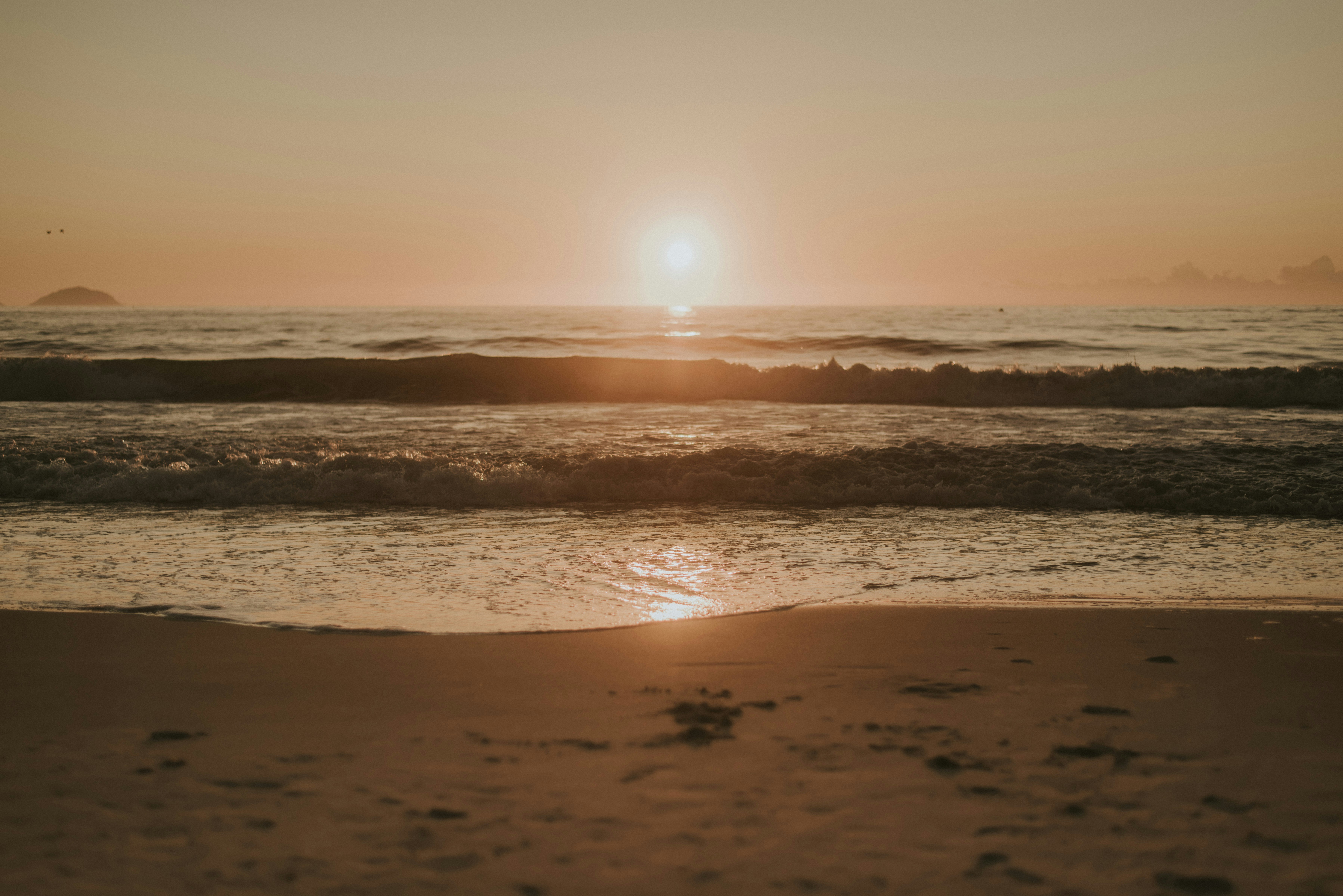 Photo by gerginphotography