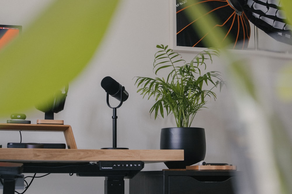 a desk with a microphone and a potted plant