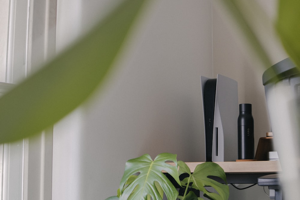 a shelf with a plant and speakers on it
