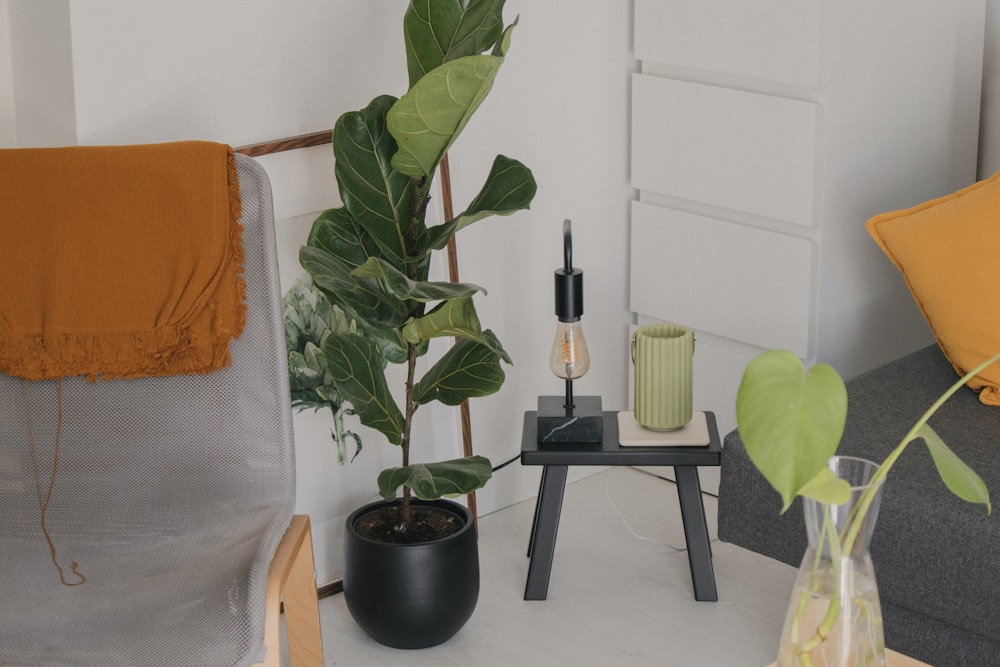 a living room with a couch, chair and a plant