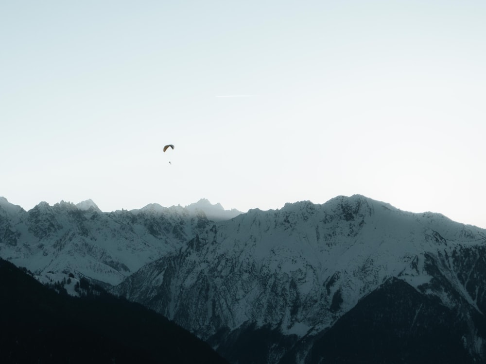 a bird flying over a snow covered mountain range