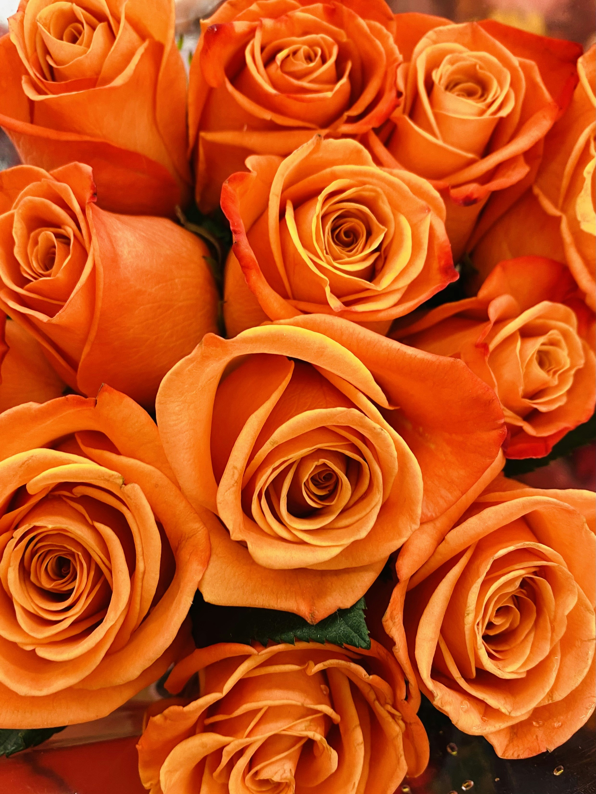 Photo by prem_dominic