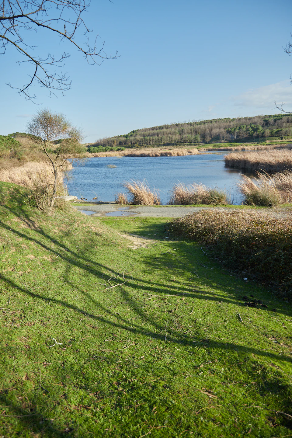 The image depicts a serene lake surrounded by lush green grass and trees, with a clear blue sky above. The calm water reflects the surrounding greenery, creating a tranquil atmosphere. A small path winds through the grassy area leading to the lake, inviting exploration. In the distance, more trees can be seen, adding depth to the scene.