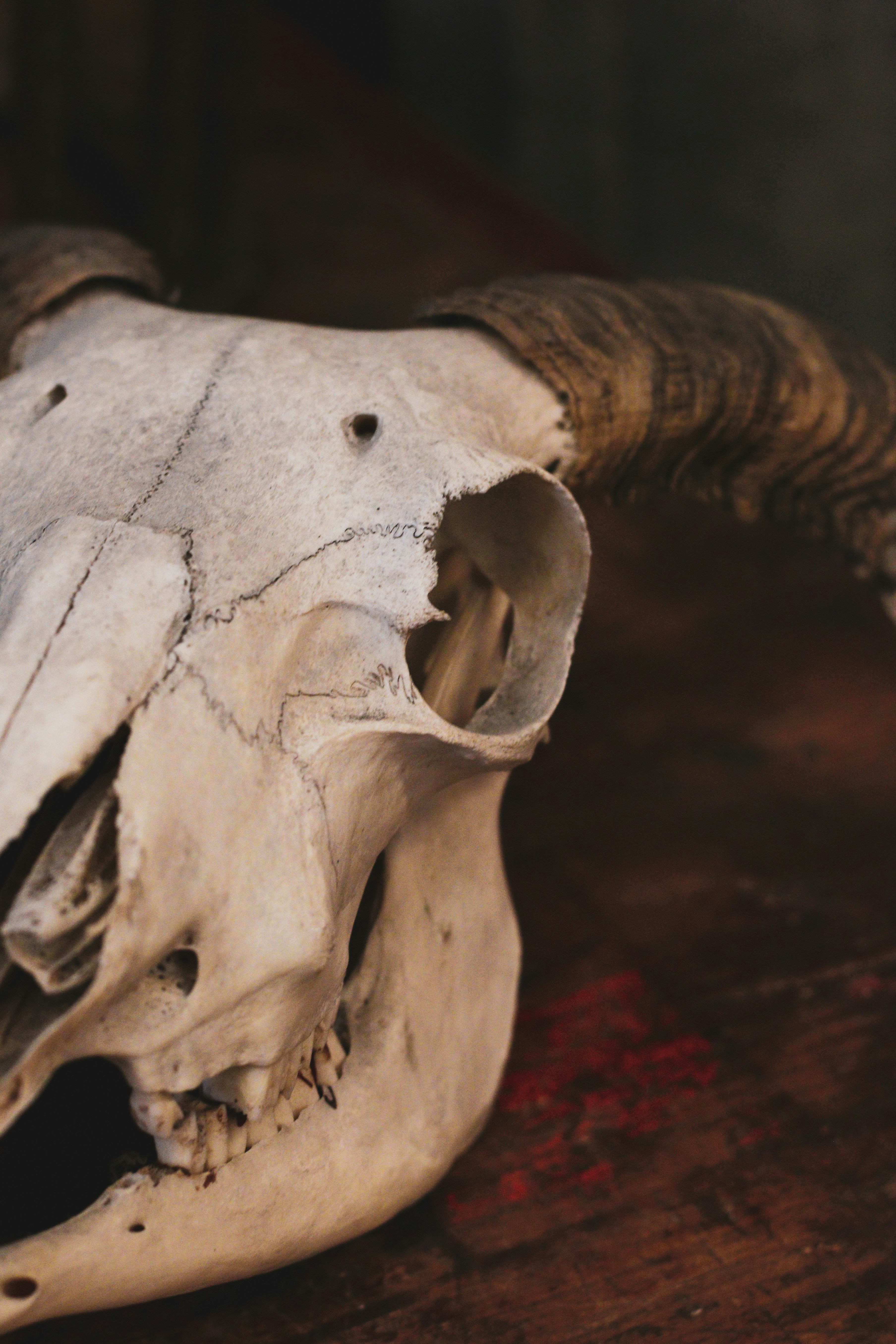 Photo by focalinsight