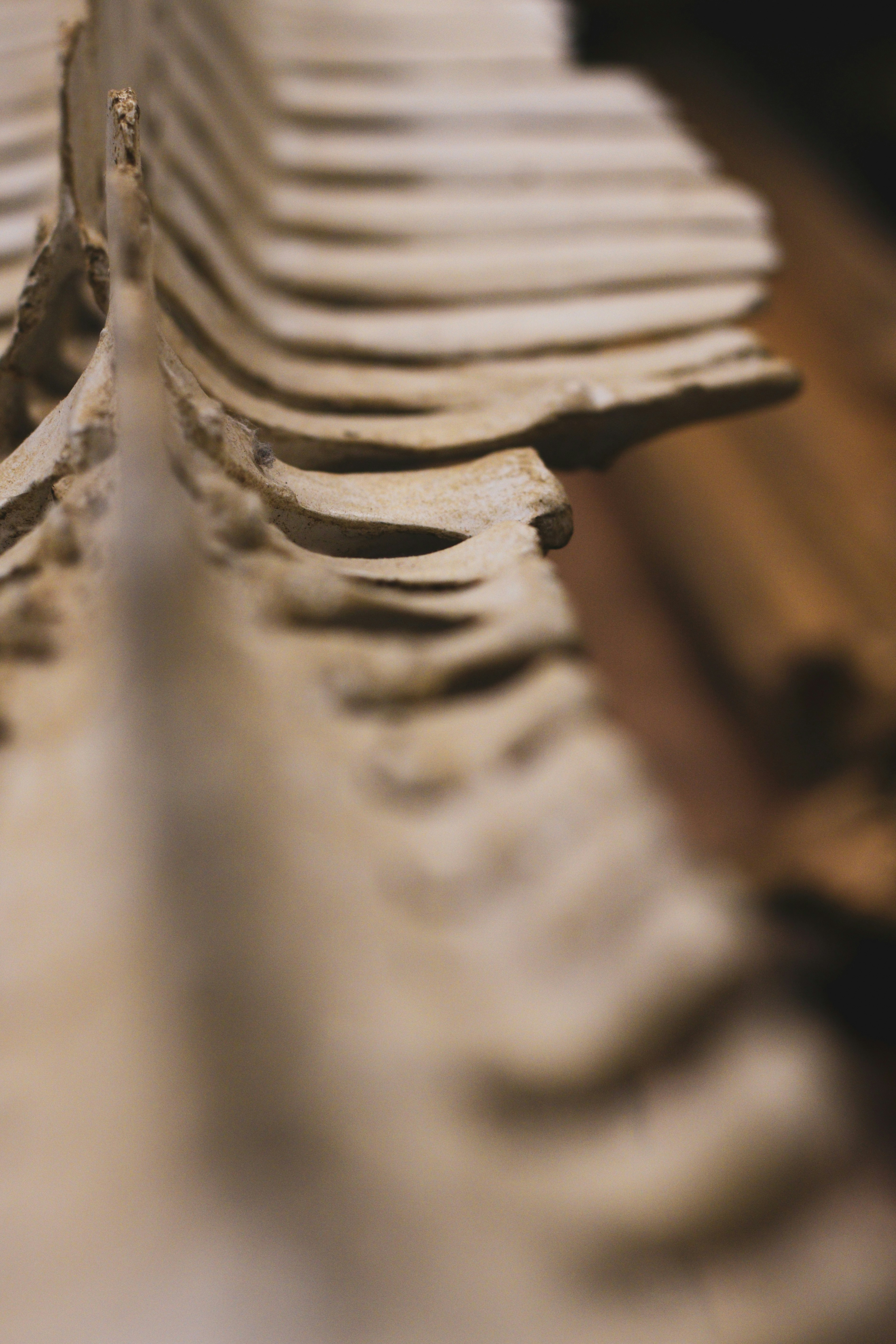 Photo by focalinsight