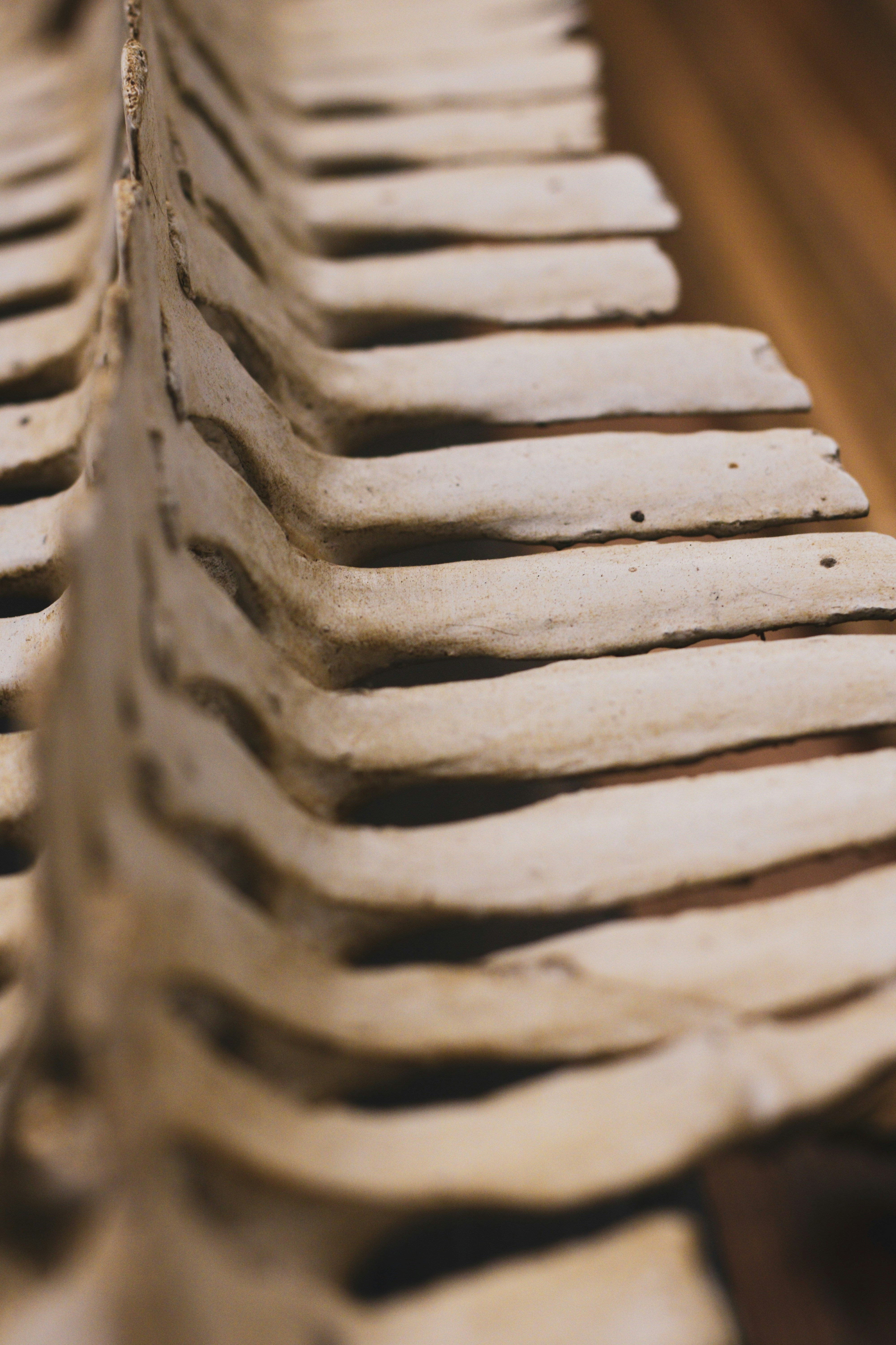 Photo by focalinsight