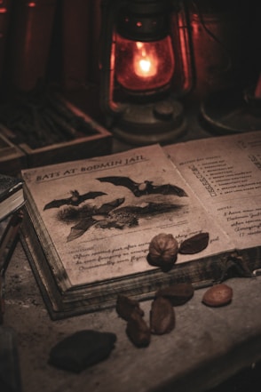 a book with a picture of a bat on it