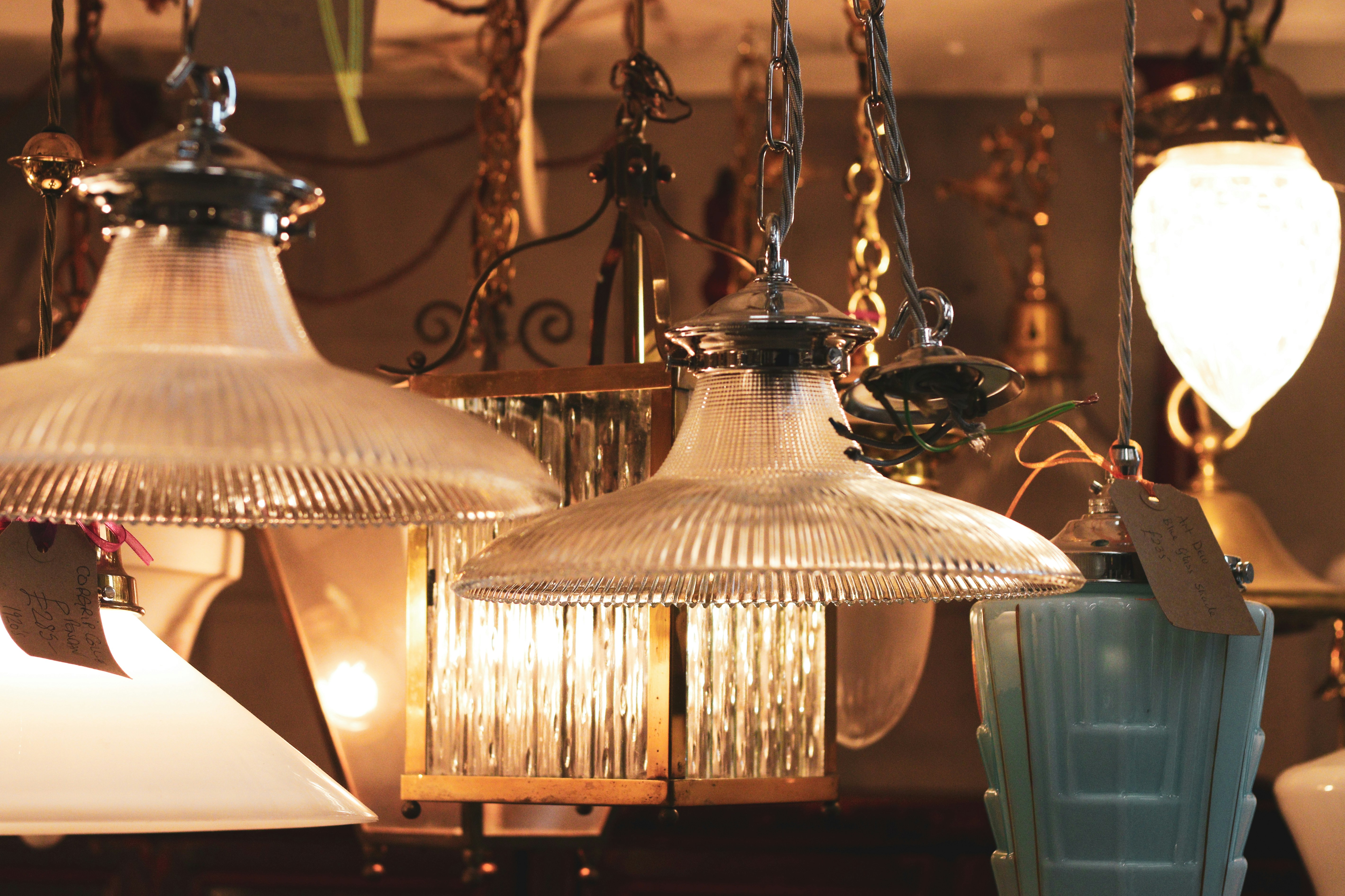 Photo by focalinsight