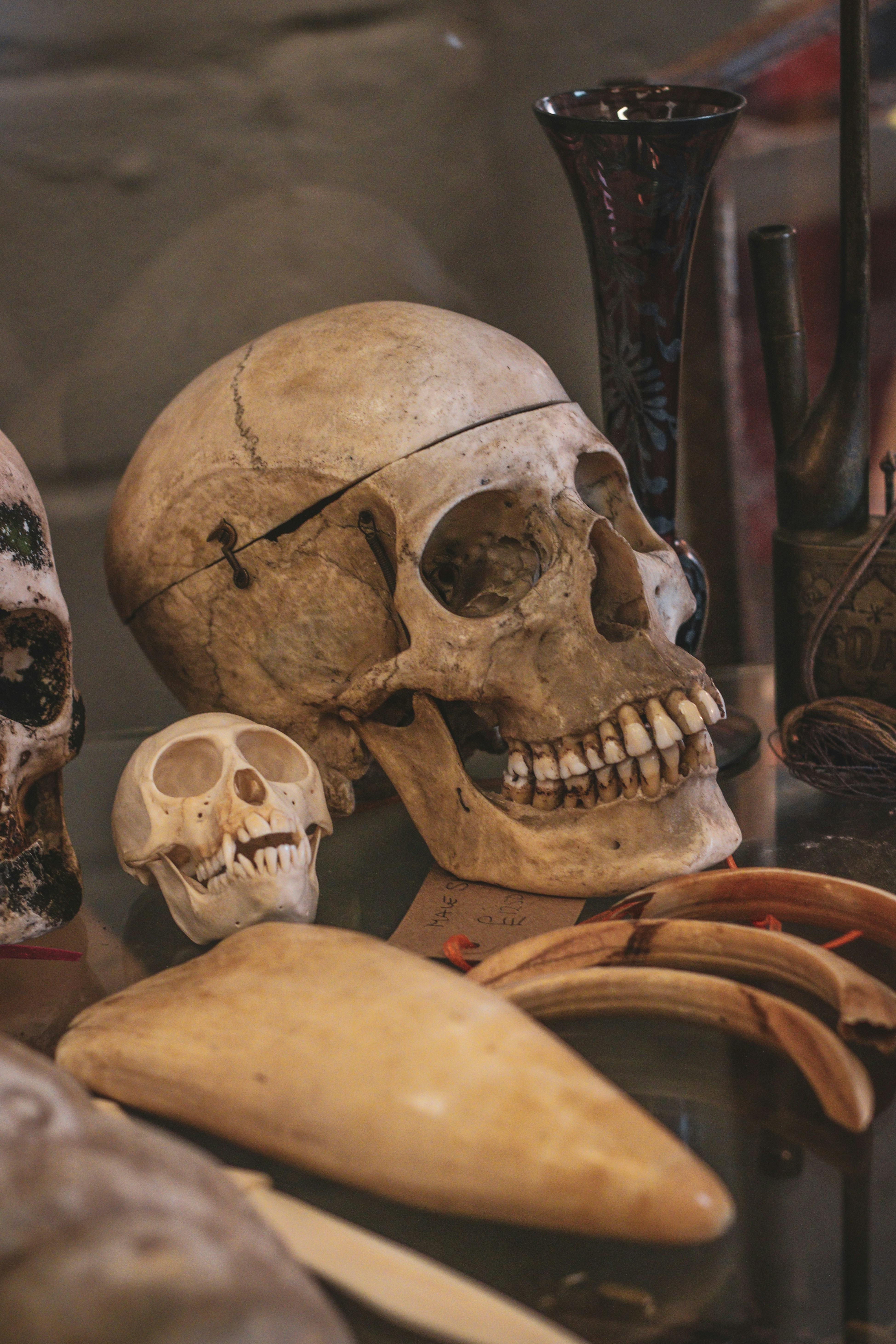 Photo by focalinsight