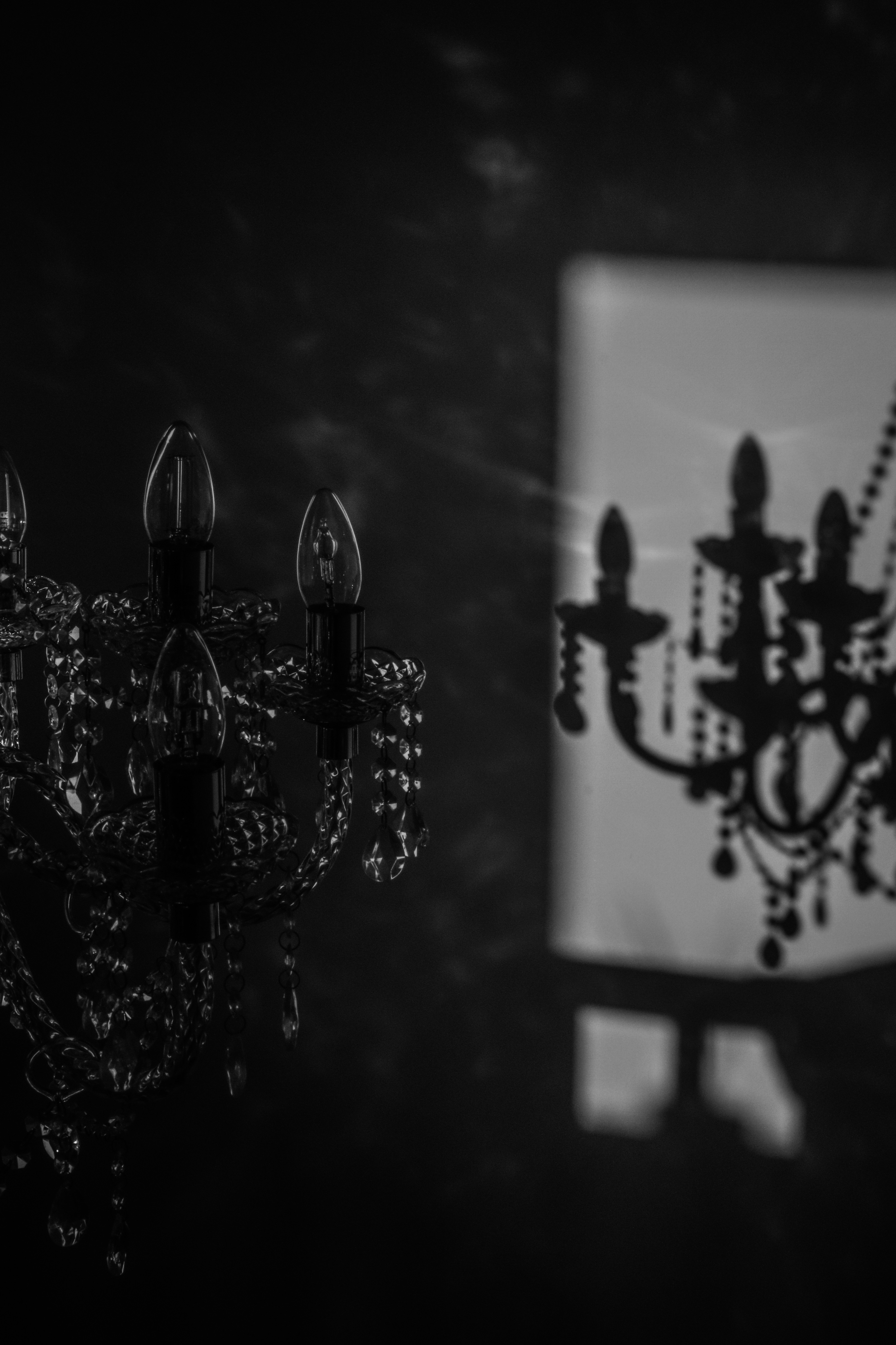 Photo by focalinsight