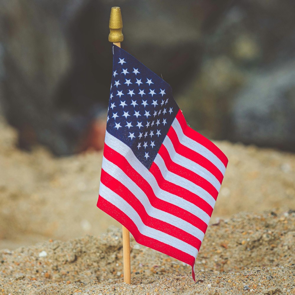 a small american flag on a stick in the sand