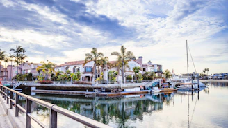 Marina with boats and palm trees