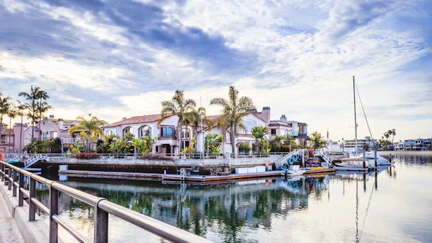 Marina with boats and palm trees