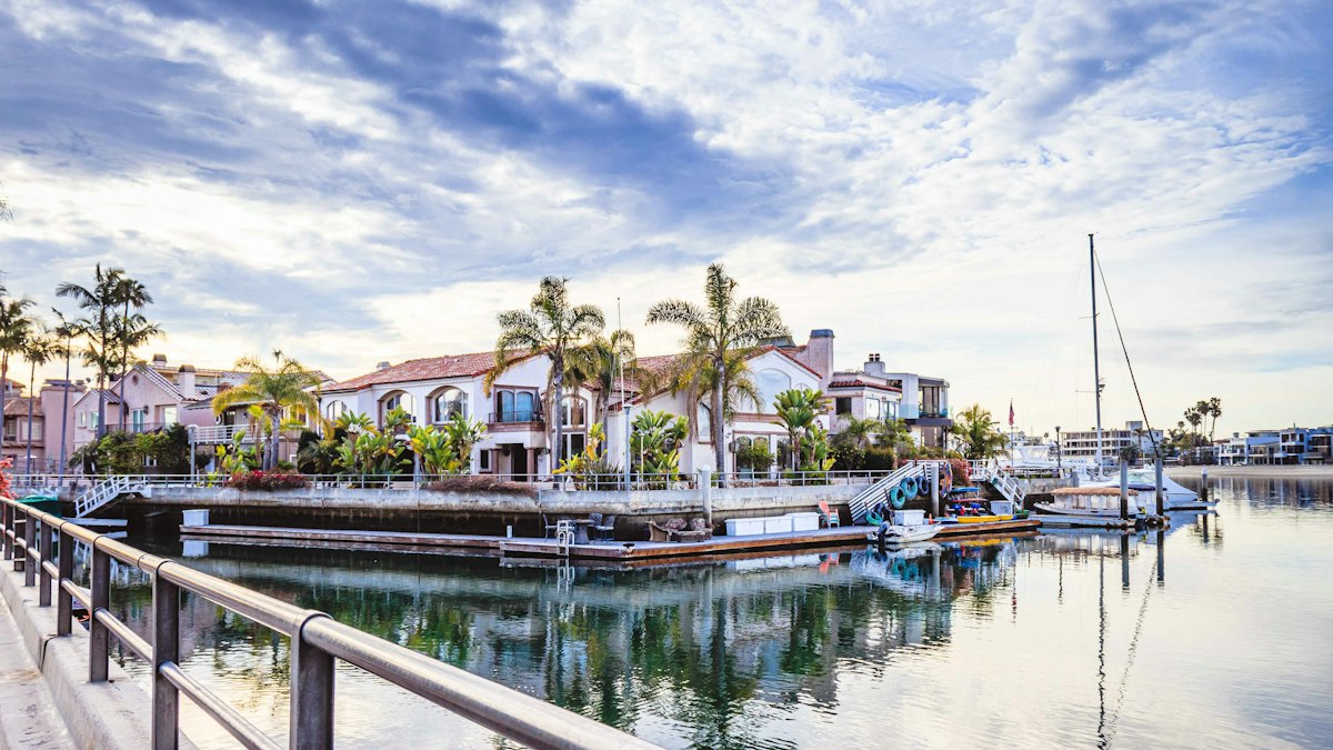 A marina with boats and palm trees on a cloudy day