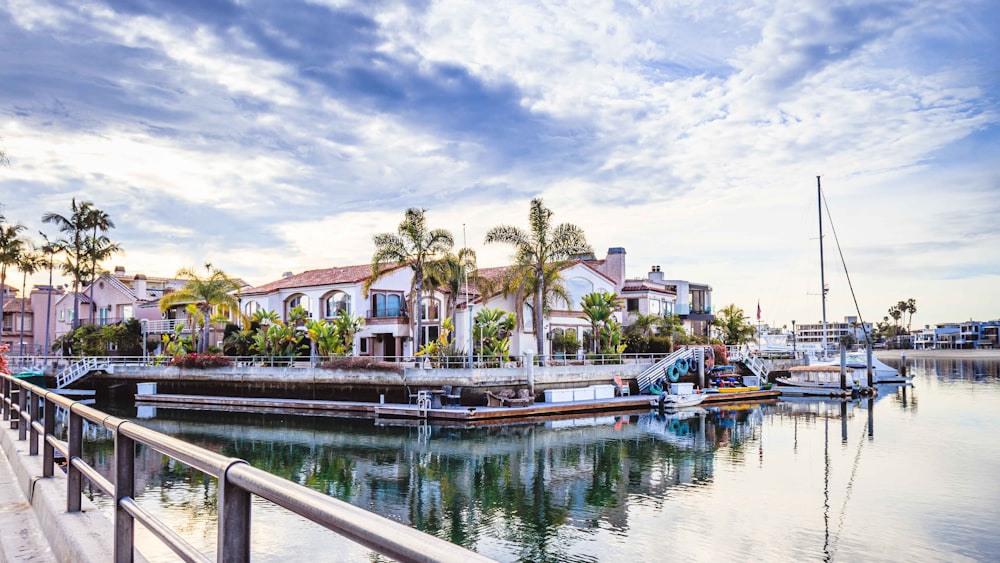 a marina with boats and palm trees on a cloudy day