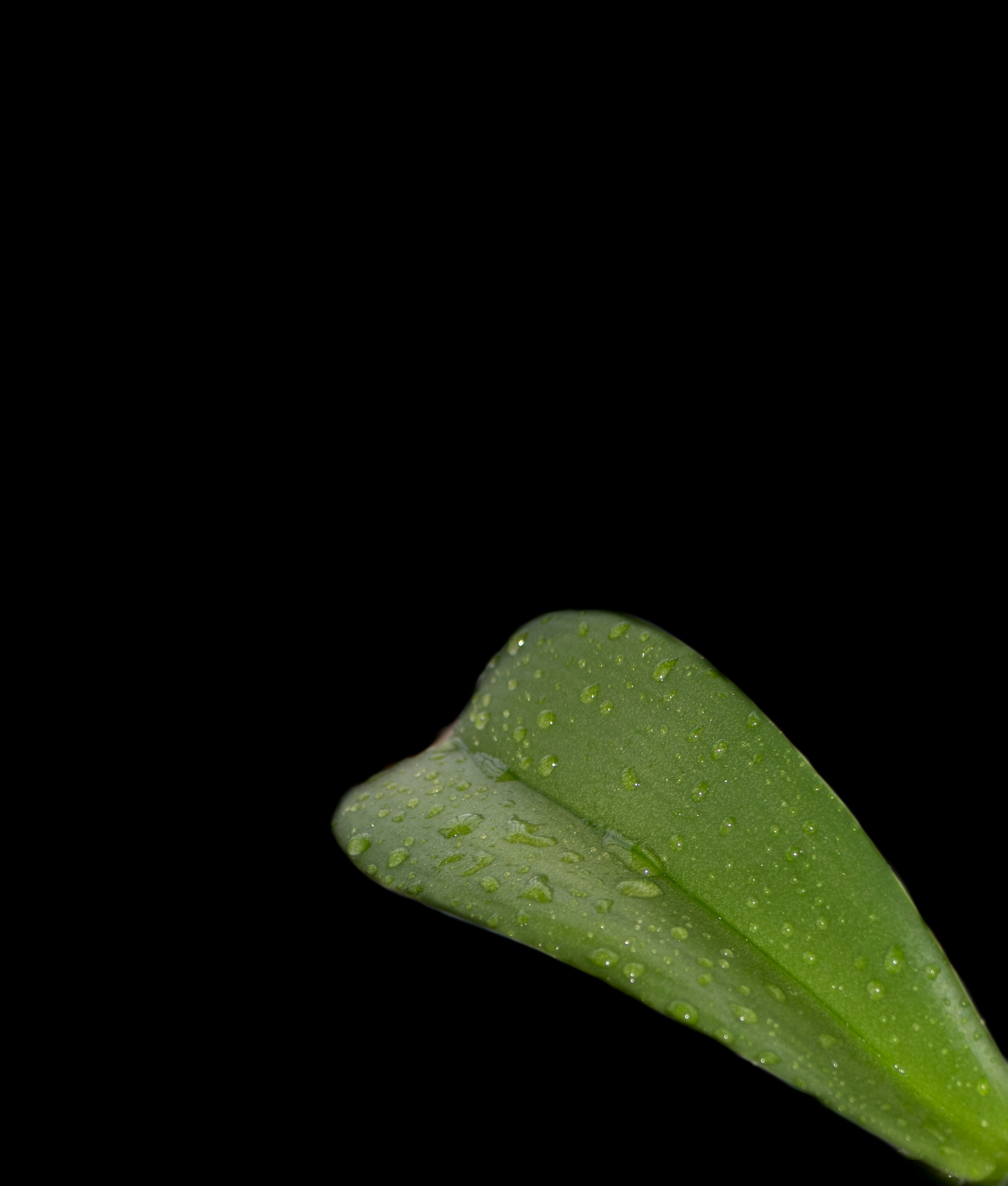 Photo by wilsonphotography