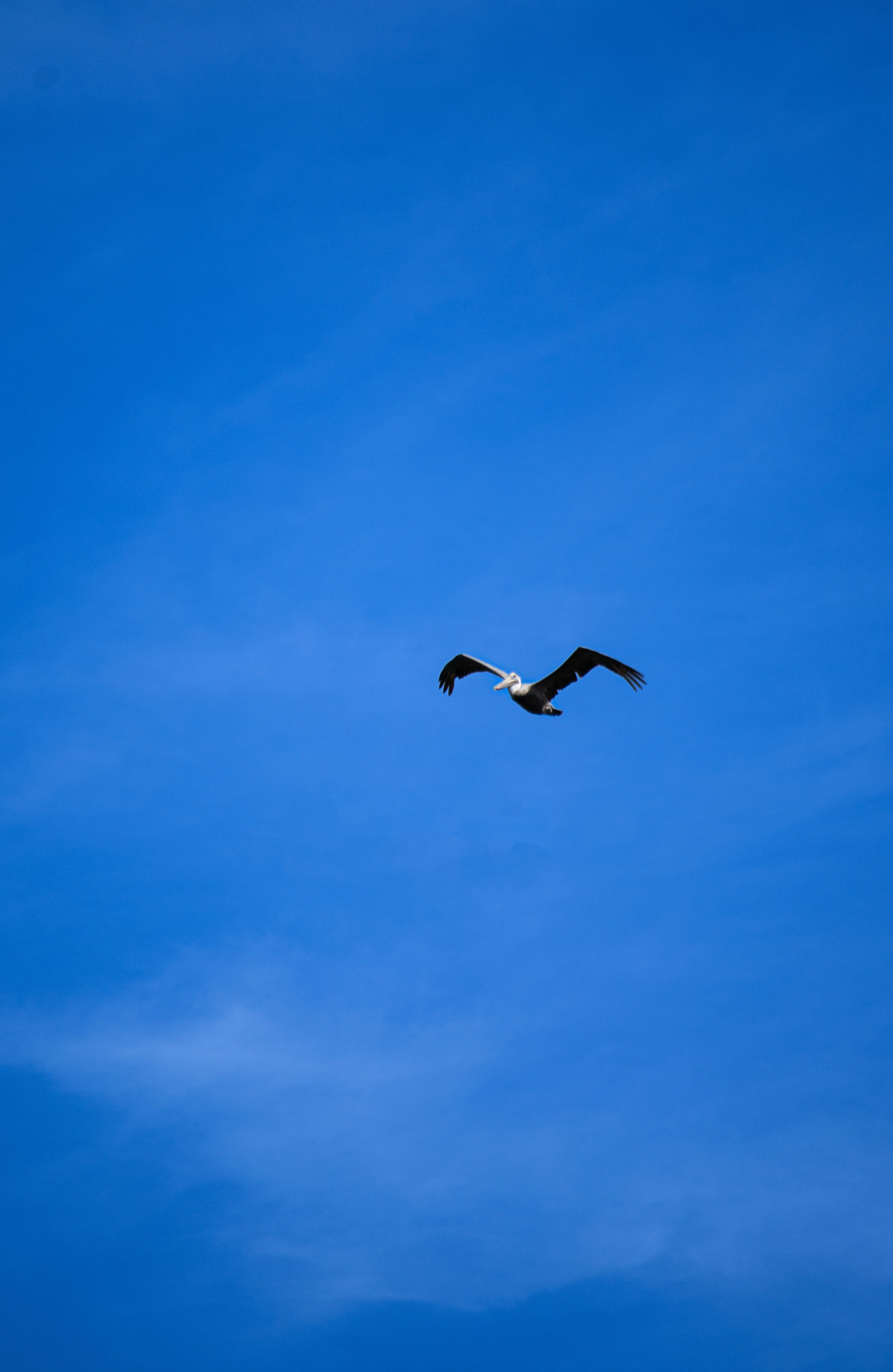 Photo by wilsonphotography