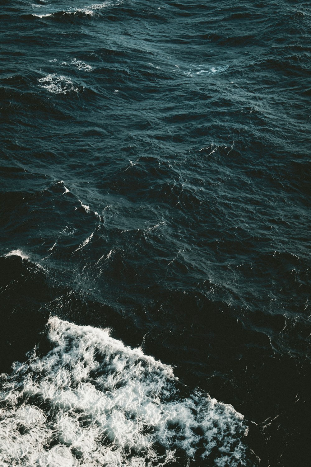 a black and white photo of a body of water