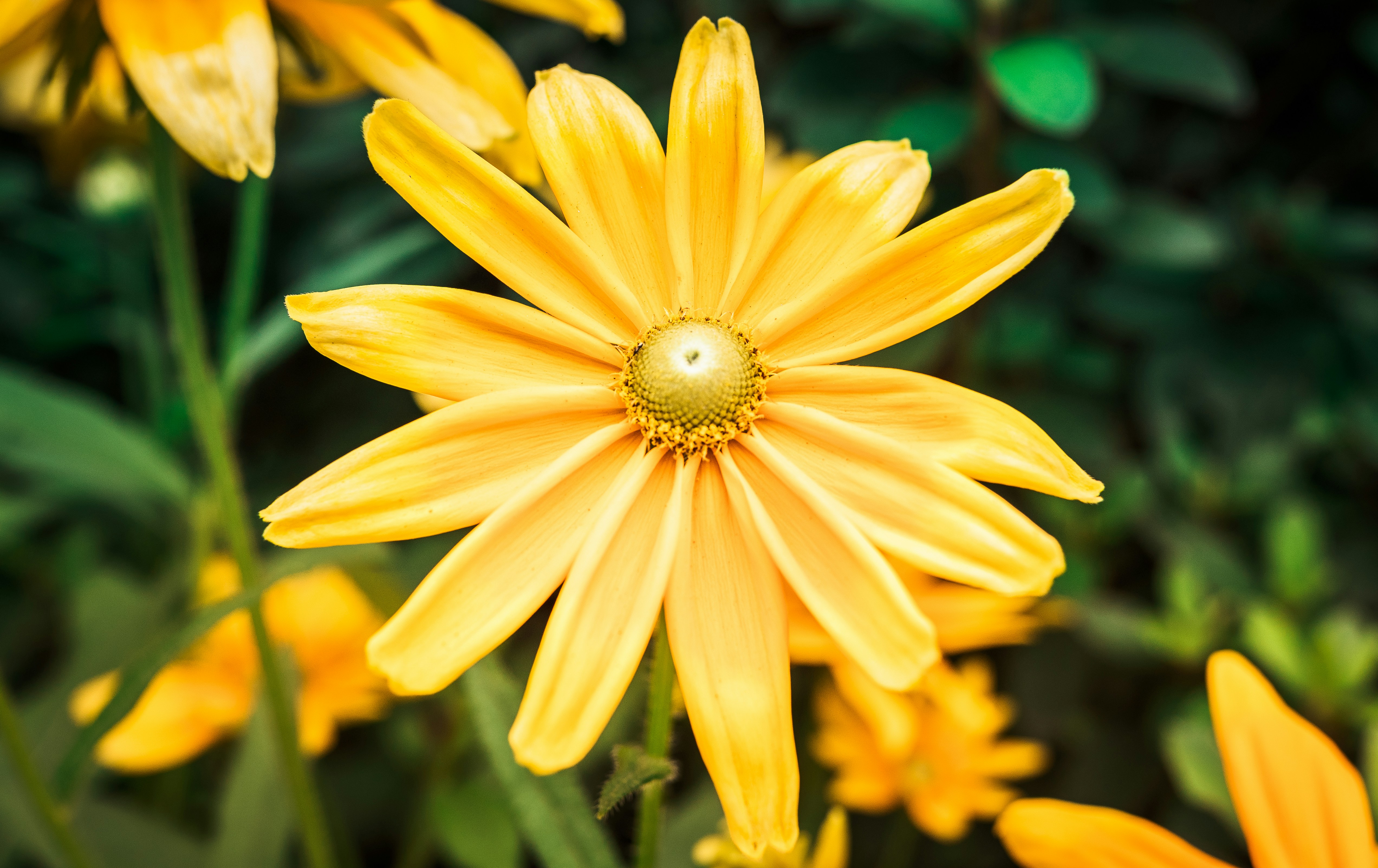 Photo by studio3presents