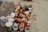 A collection of various containers and ritual items are arranged on a red cloth placed on sand. There are multiple stainless steel and plastic containers, along with items such as combs, incense sticks, small bowls with colored powders, and decorative objects like marigold flowers. The scene suggests a setup for a traditional ritual or offering.