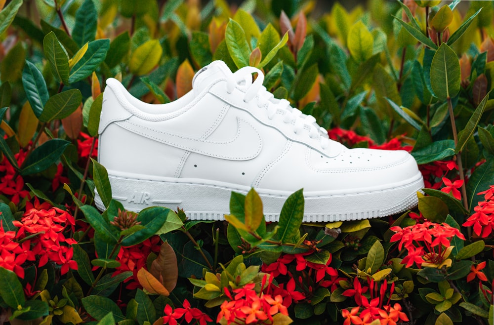 Foto Un par de zapatillas blancas Nike Air Force encima de flores rojas –  Imagen Zapato gratis en Unsplash