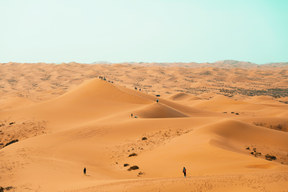 a group of people walking across a desert