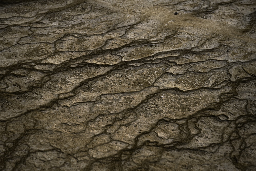 a close up of a dirt surface with cracks