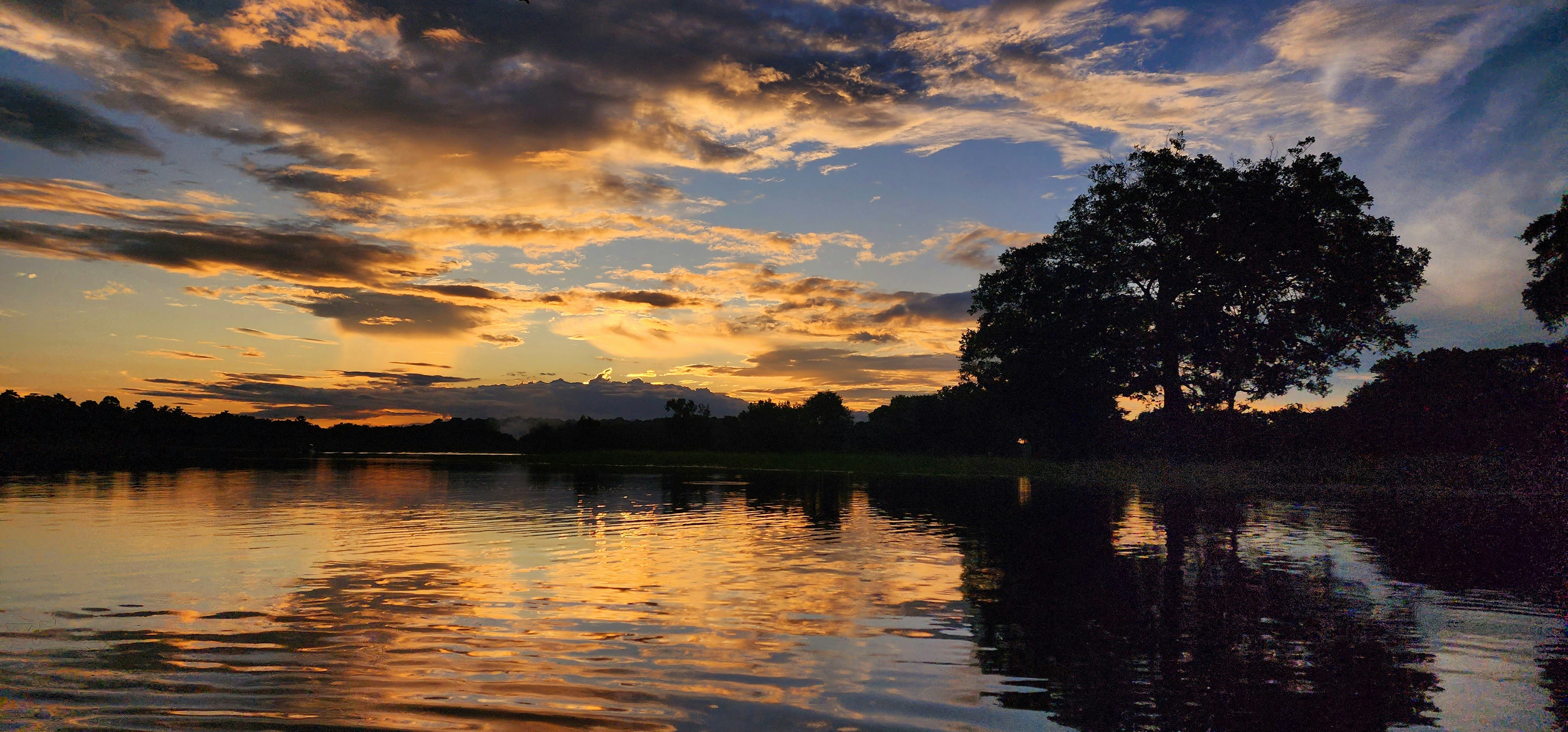 a sunset over a body of water with trees in the background, 