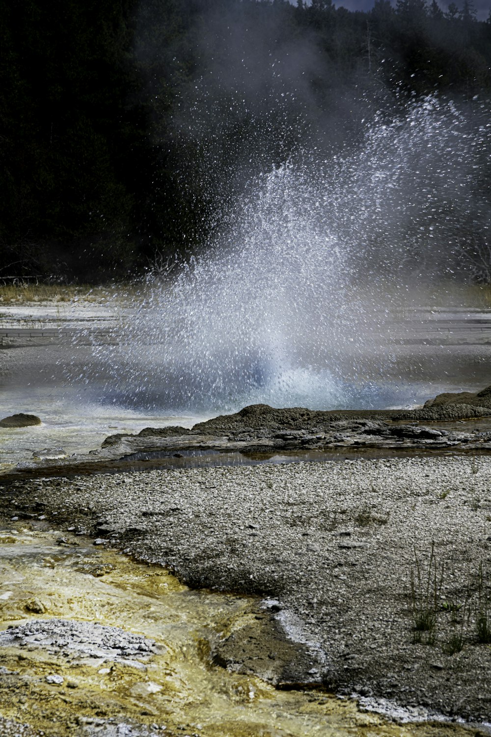 a geyser spewing water into a pond