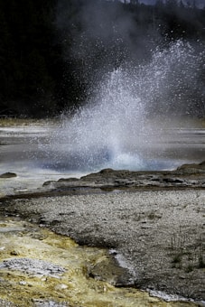 A dynamic view of a geothermal feature with a burst of water shooting energetically into the air, surrounded by rocky terrain and a backdrop of dense, dark green forest. Steam rises from the eruption, blending into the overcast sky.