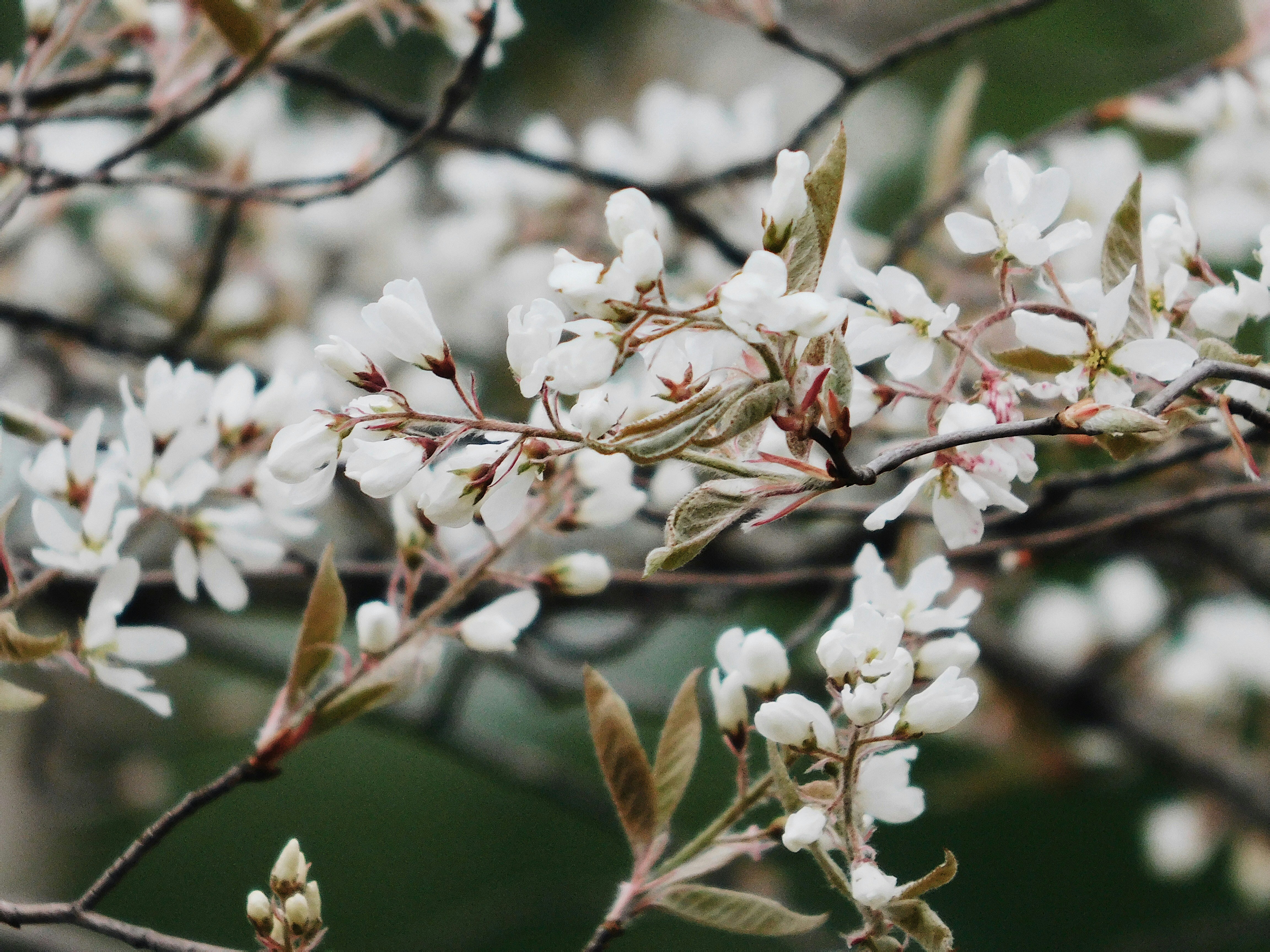 Photo by chloeroberts2311