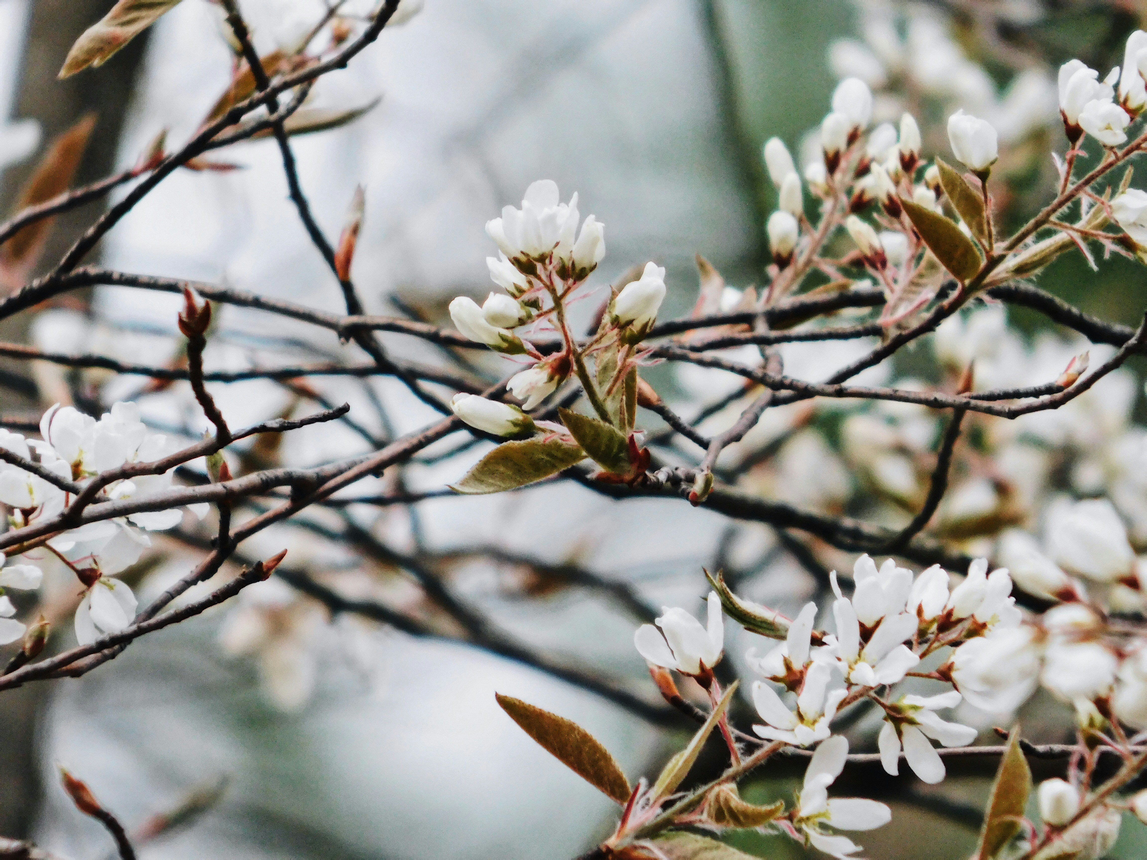 Photo by chloeroberts2311