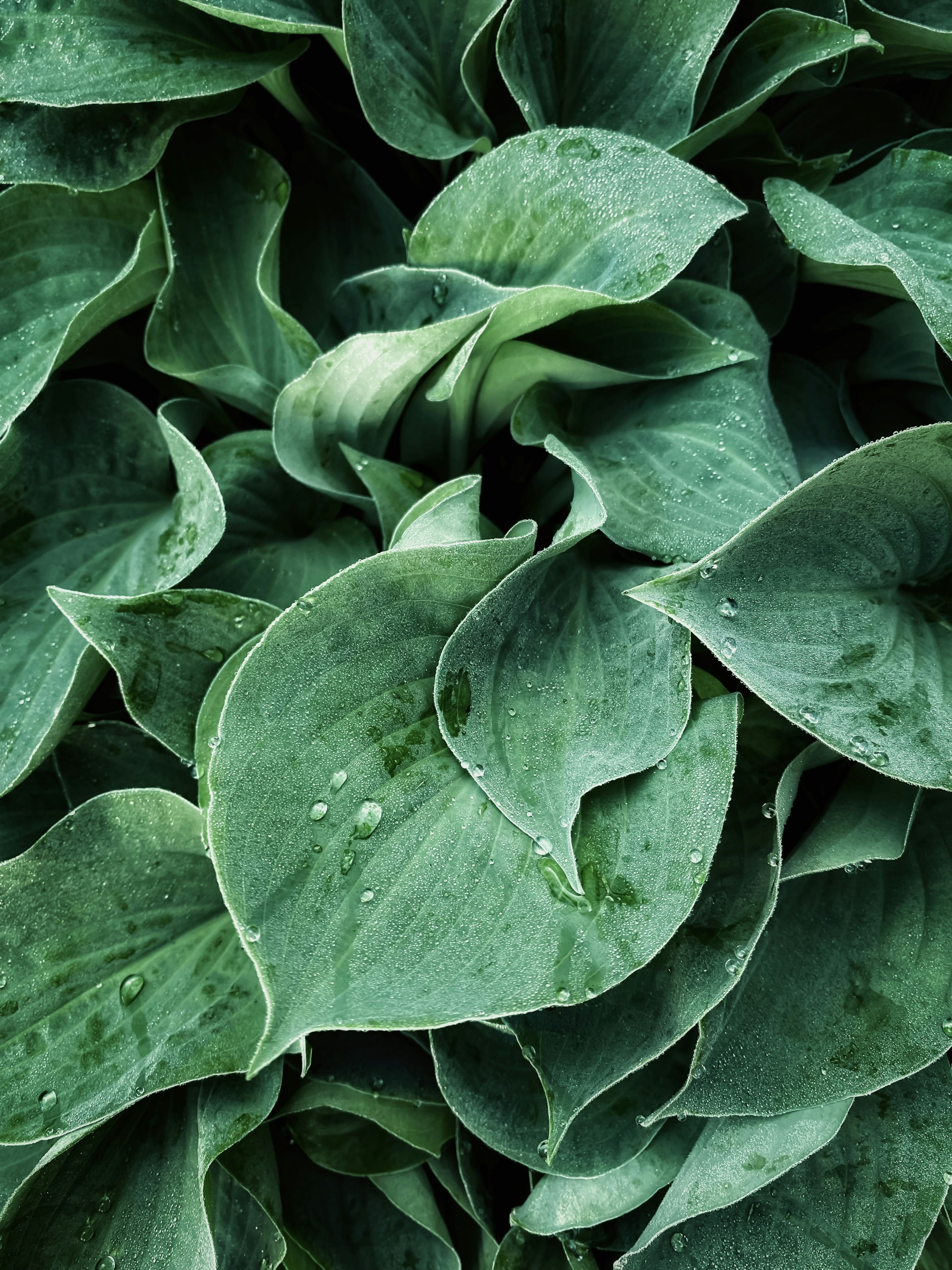 Photo by eugene_golovesov