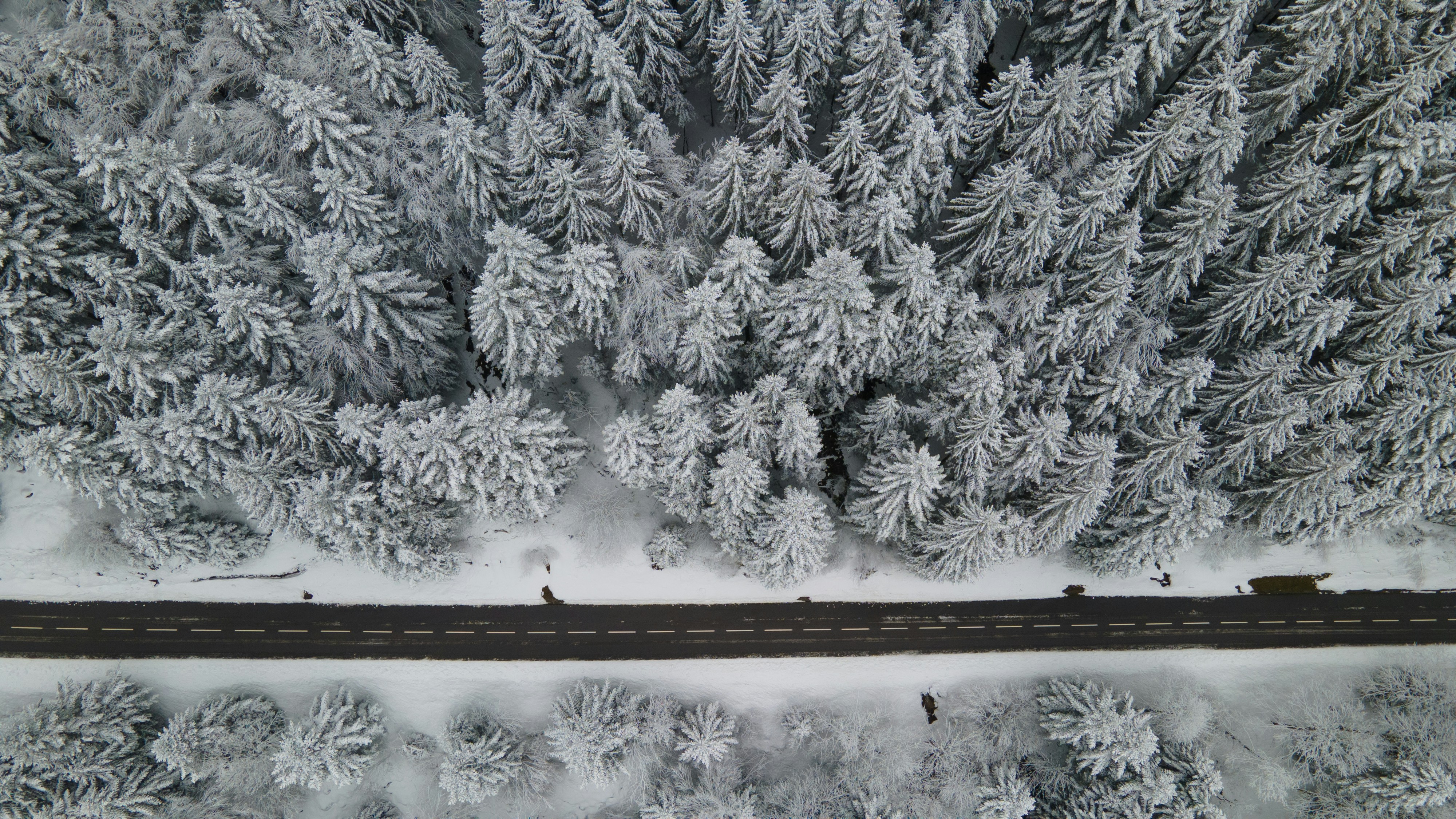 Photo by guillaumevdn