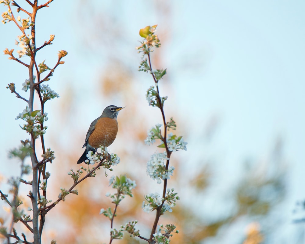 a small bird perched on a tree branch