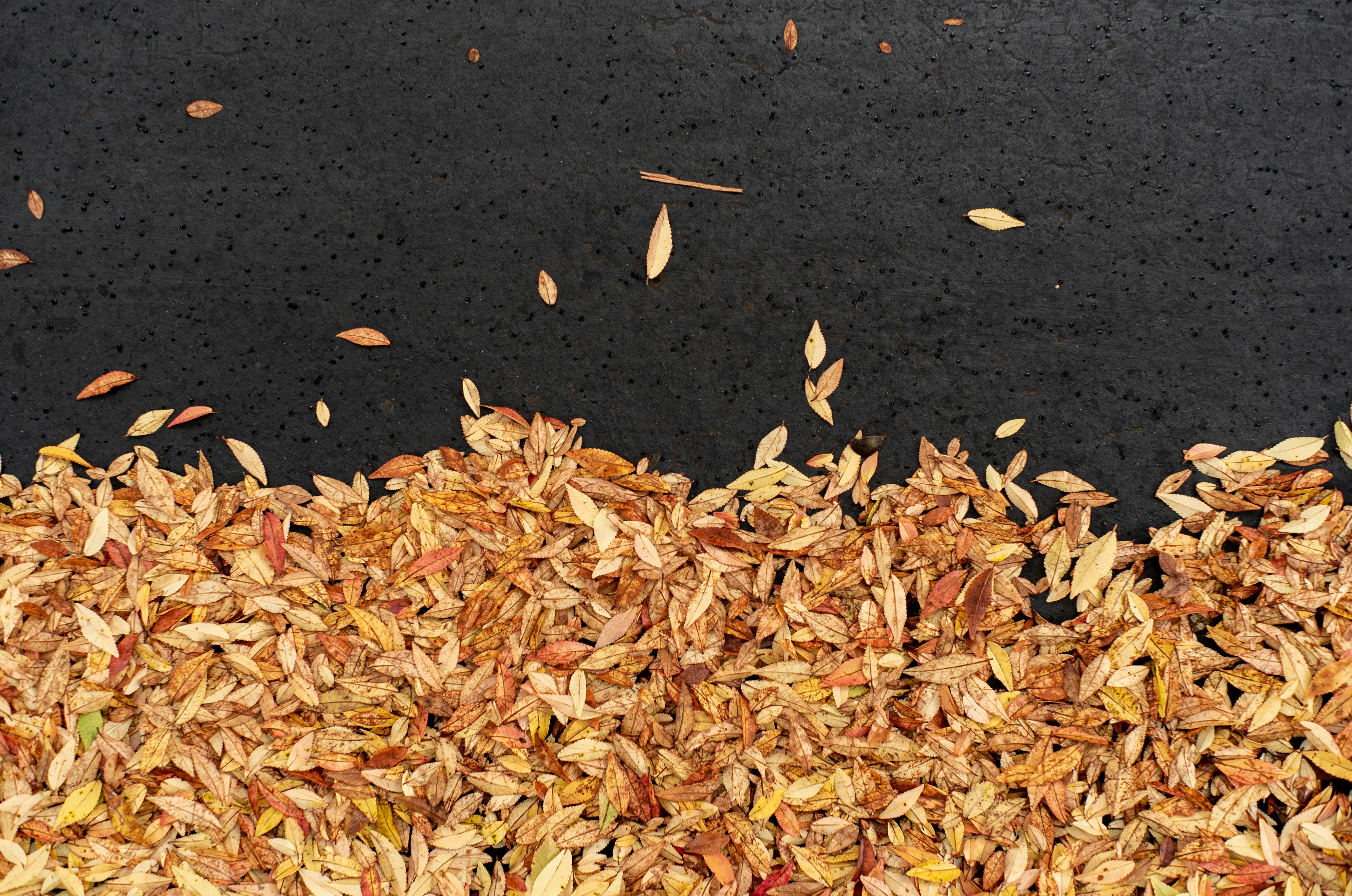 a pile of dry leaves sitting on top of a black surface