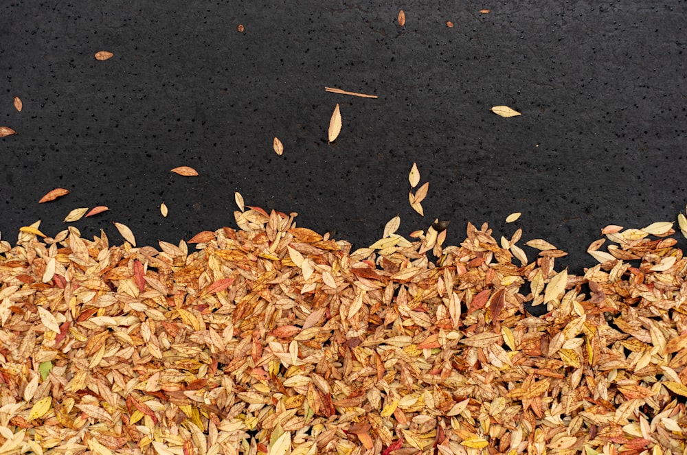 a pile of dry leaves sitting on top of a black surface