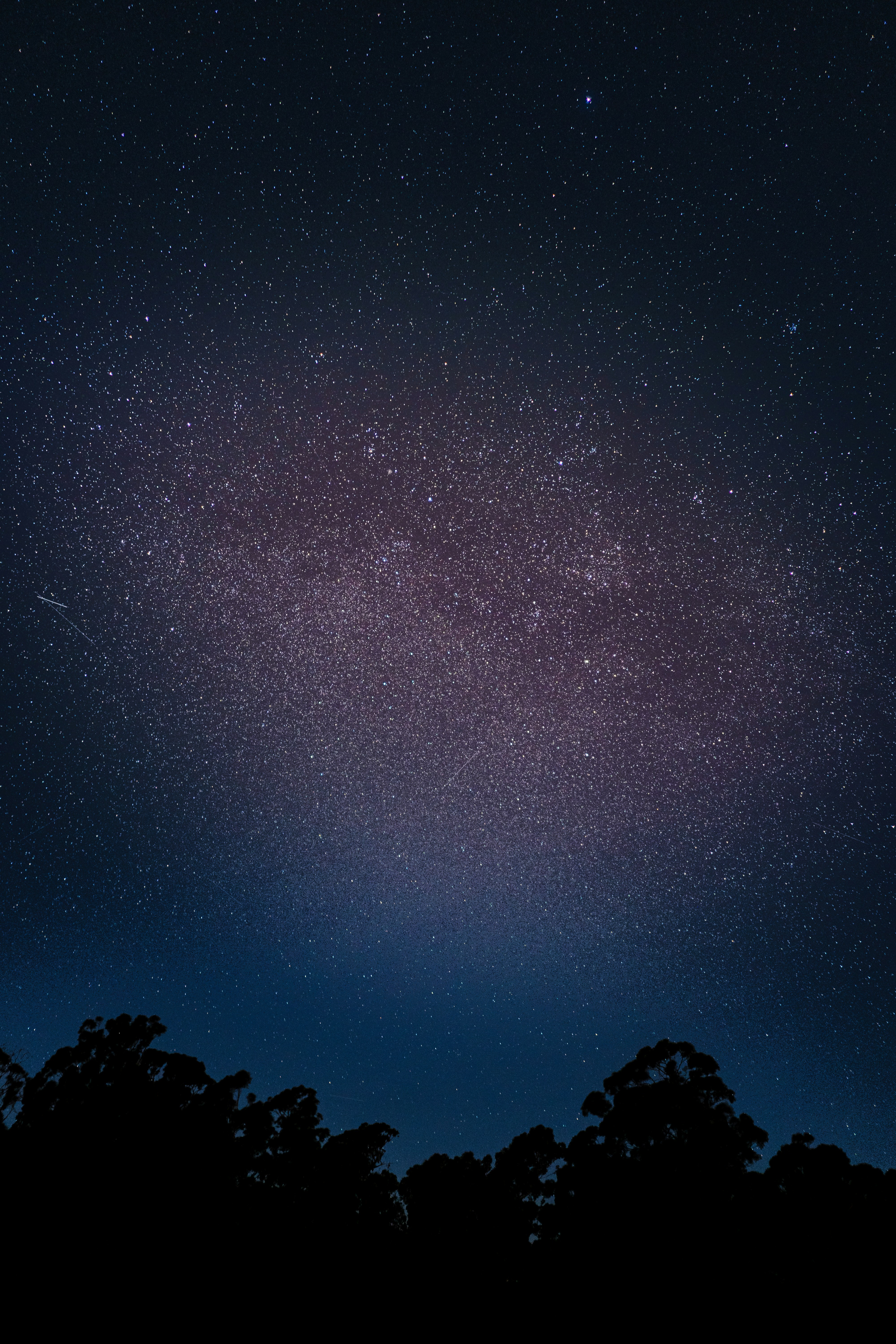 the night sky is filled with stars and trees