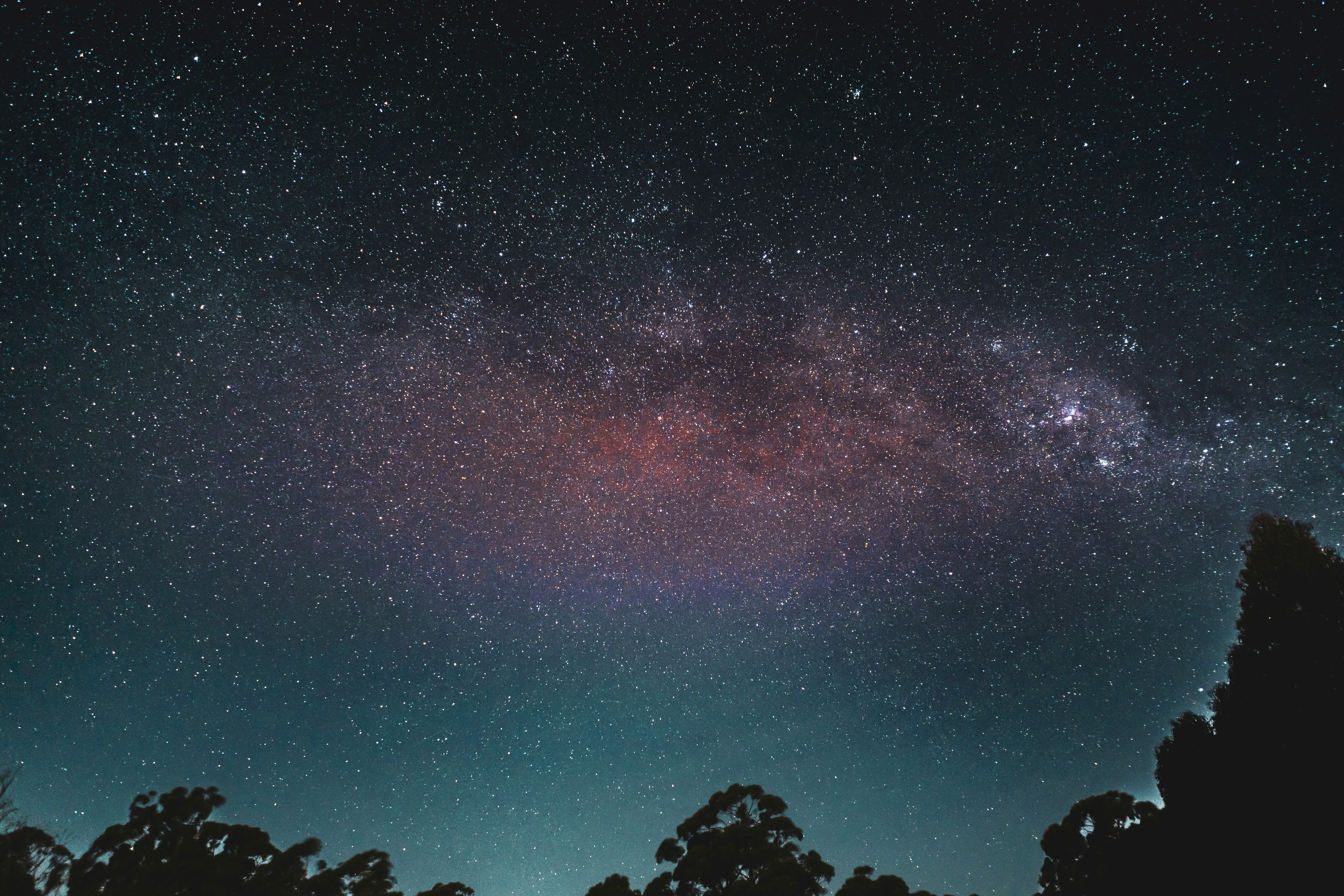 a night sky filled with stars and trees