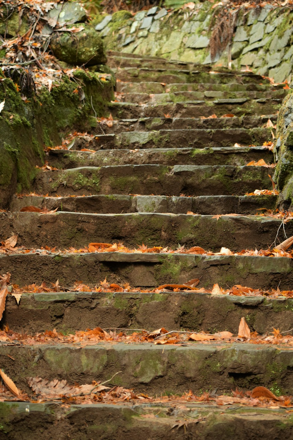 a set of stone steps with moss growing on them