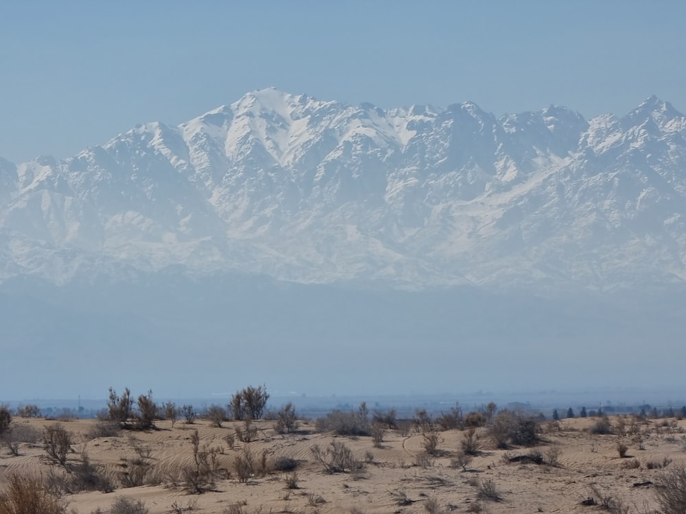 a snow covered mountain range in the distance