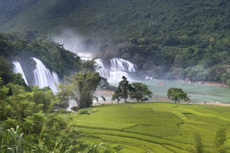 A scenic landscape featuring a series of cascading waterfalls surrounded by lush green forests. The waterfalls flow into a calm river, and in the foreground, vibrant green rice paddies stretch across the landscape. A few trees are scattered across the field, adding to the peaceful and natural atmosphere.