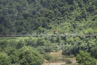 A lush green landscape with dense forest vegetation. A suspension bridge spans across a river, with a person holding a red umbrella walking in the middle. Power lines and pylons are visible in the background.
