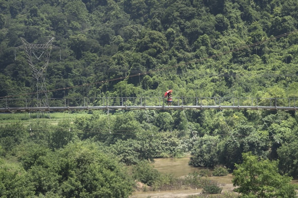 A lush green landscape with dense forest vegetation. A suspension bridge spans across a river, with a person holding a red umbrella walking in the middle. Power lines and pylons are visible in the background.