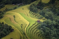 A peaceful scene of rice terraces surrounding a small village near Mount Merapi.