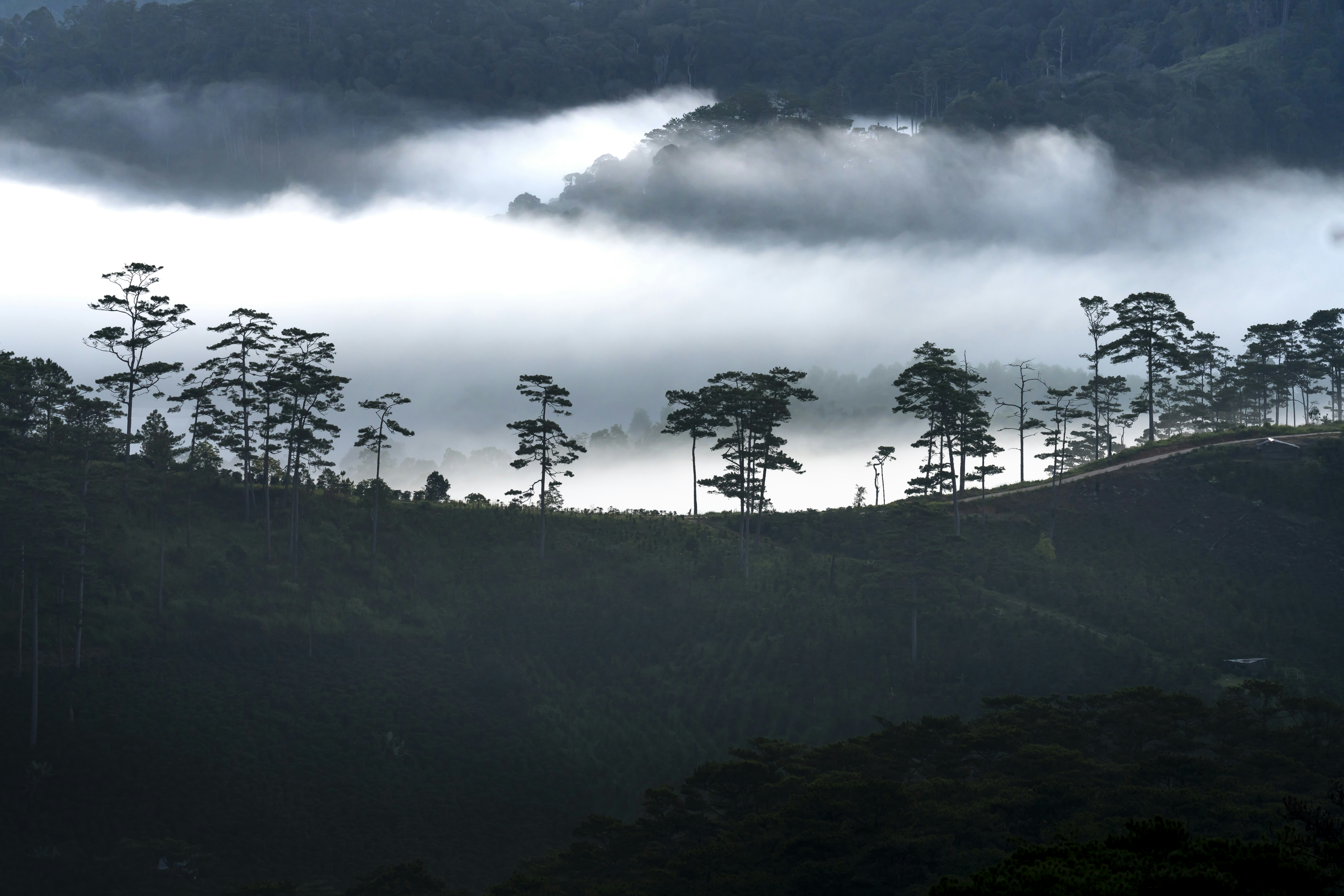 Photo by quangpraha