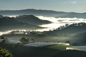 Morning mist gently enveloping the lush green NA Farmhouse plots in Gorthan