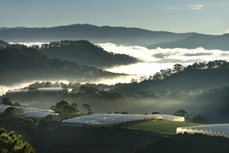 Morning mist gently enveloping the lush green NA Farmhouse plots in Gorthan